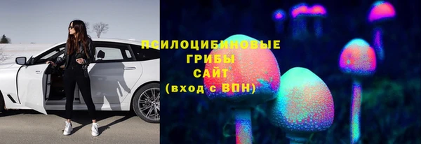 сатива Горнозаводск