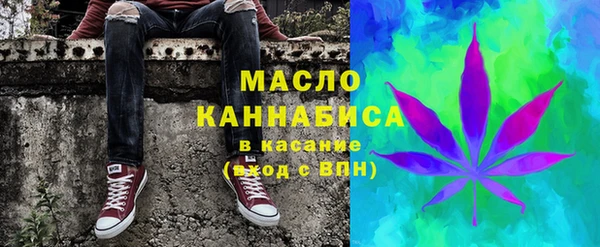 сатива Горнозаводск