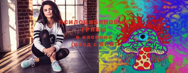 соль курить ск Горно-Алтайск