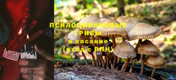 соль курить ск Горно-Алтайск