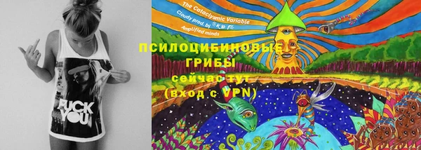 сатива Горнозаводск
