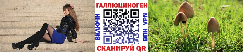 как найти закладки  Очёр  Псилоцибиновые грибы GOLDEN TEACHER 